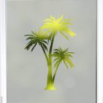 Palm Tree